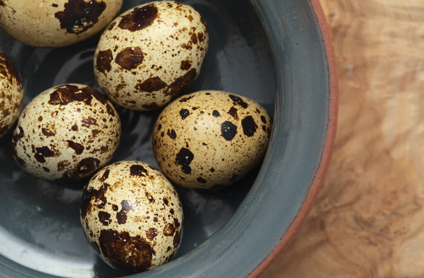 small speckled quail eggs  - Valokuva, kuva
