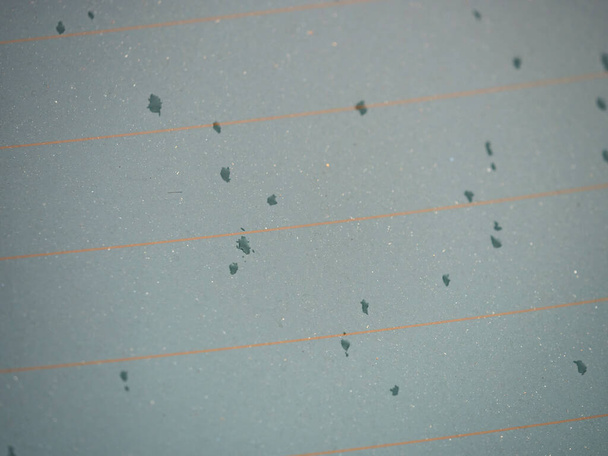 Σταγόνες νερού στο πίσω παράθυρο του αυτοκινήτου, ρίγες θέρμανσης ορατές. Σταγόνες βροχής στο πίσω τζάμι αυτοκινήτου - Φωτογραφία, εικόνα