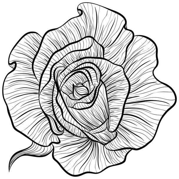 Róże w stylu sztuki linii - Wektor, obraz