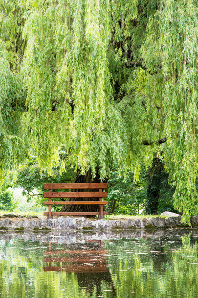 В озере зеркально отражаются деревянная скамейка и плачущая ива
 - Фото, изображение