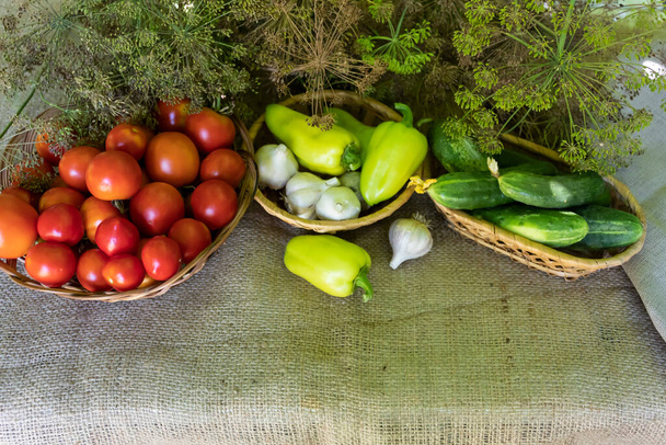Na mesa estão endro e legumes para enlatamento em casa - tomates, pepinos, pimentas, alho. - Foto, Imagem
