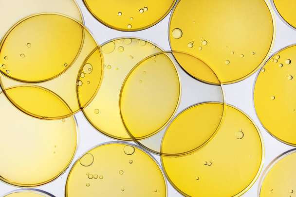 Burbujas de círculo de aceite abstracto en una placa de Petri vista superior. Laboratorio de cosmética o medicina antecedentes. - Foto, Imagen