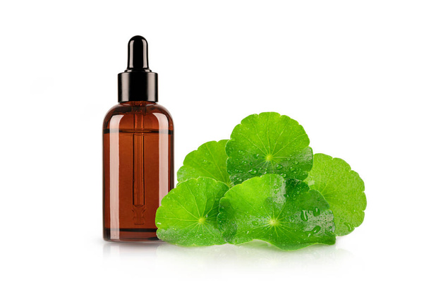 Centella asiatica leaves  and amber bottle of essential oil extract isolated on white background - Photo, Image