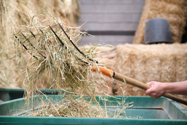 Закрыть неузнаваемую фермерскую руку вилкой для загрузки тележки сеном. - Фото, изображение