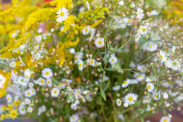 красивий розмитий фон з білих ромашок і жовтих квітів, горизонт
 - Фото, зображення