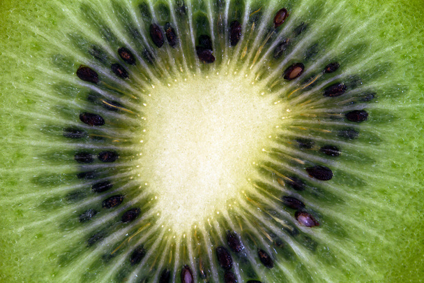 Slice of kiwi - Photo, Image