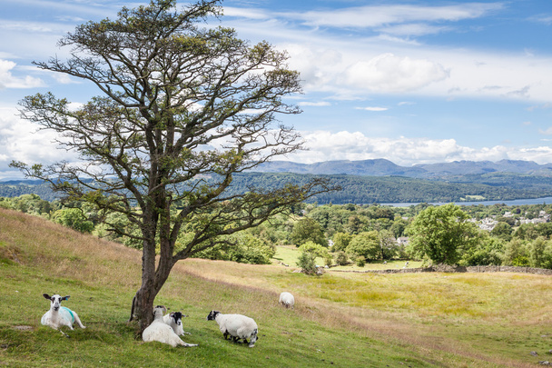 Paysage du Lake District
 - Photo, image