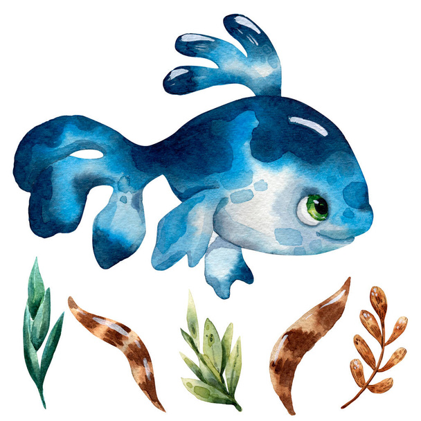 hand-drawn watercolor illustration with the cute underwater animal. Fun cartoon fish. Fantasy sealife - Foto, imagen