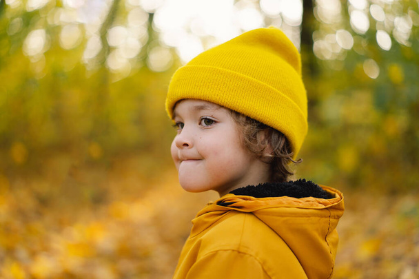 Маленький хлопчик в жовтому капелюсі і куртці проходить через осінній ліс. Дитина активна в природі
 - Фото, зображення