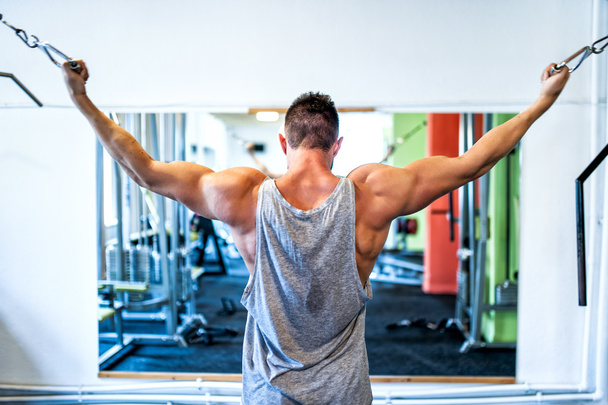 Bodybuilder working out the biceps in the gym. weightlifting in the fitness center - 写真・画像