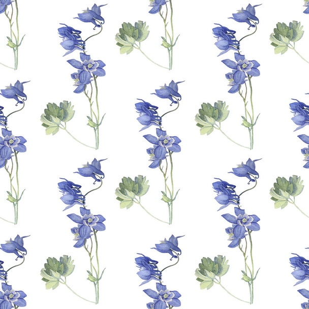 Bezešvé vzor akvarel modrý květ campanula zvonek na bílém. Ručně kreslená rostlina. Tvůrčí příroda realistické pozadí pro karty, tapety, textil, obaly, květinářství, svatba - Fotografie, Obrázek