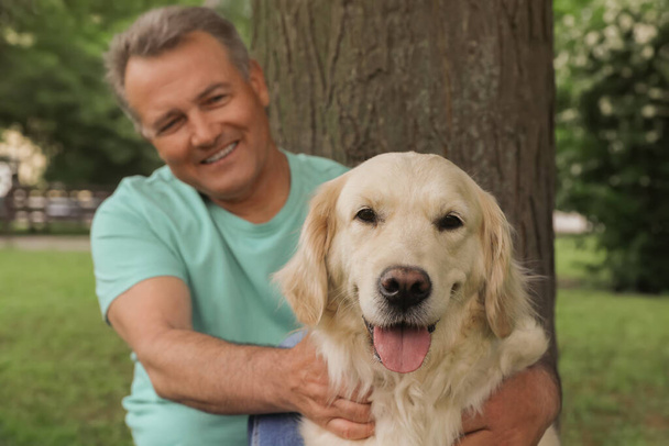 Happy senior man with his Golden Retriever dog resting under tree in park - Photo, Image