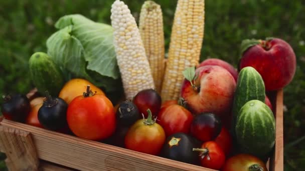 Fa kosaras doboz vagy láda különböző zöldségekkel, gyümölcs betakarítás után - Felvétel, videó
