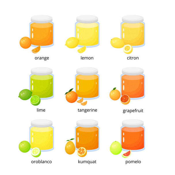 Collection of cartoon citrus jams or marmalades in glass isolated on white background. - Vetor, Imagem