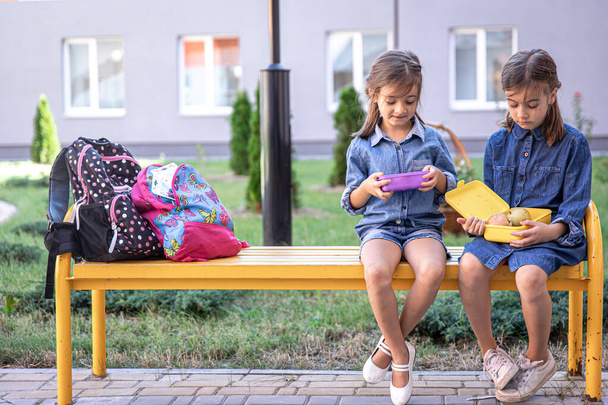 Повернутися до школи. Симпатичні маленькі школярки сидять на лавці у шкільному дворі та обідають на відкритому повітрі. Правильна шкільна їжа на обід
. - Фото, зображення