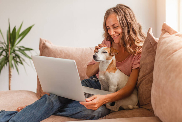 Beautiful cheerful woman using silver laptop while sitting on sofa in living room at home. Happy girl with dog sitting on sofa talking online - Fotografie, Obrázek