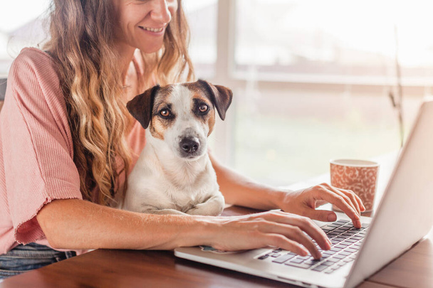 Female Hands Working On Laptop With Cute Dog. Freelancer working at home next to a puppy - Valokuva, kuva
