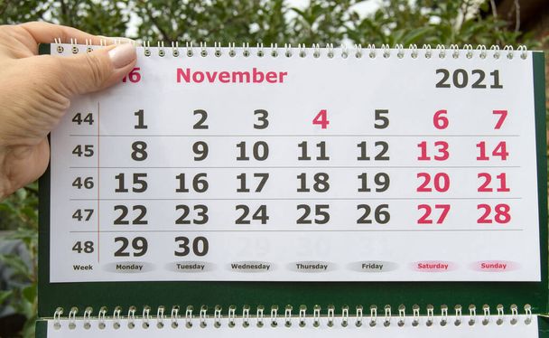 女性の手は、ブラック・フライデーの販売の概念である11月の2021カレンダーを保持しています. - 写真・画像
