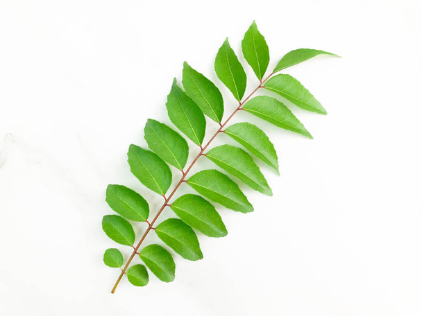Curry leaves isolated on a white background - Foto, Imagen