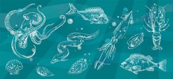 Hand drawn sea products, seafood recipe ingredients. Silhouettes of fish restaurant menu assortment - Вектор, зображення