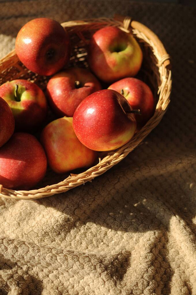 Apple harvest in a basket with a lot of red ripe fruits on draperied bedcover. - Zdjęcie, obraz