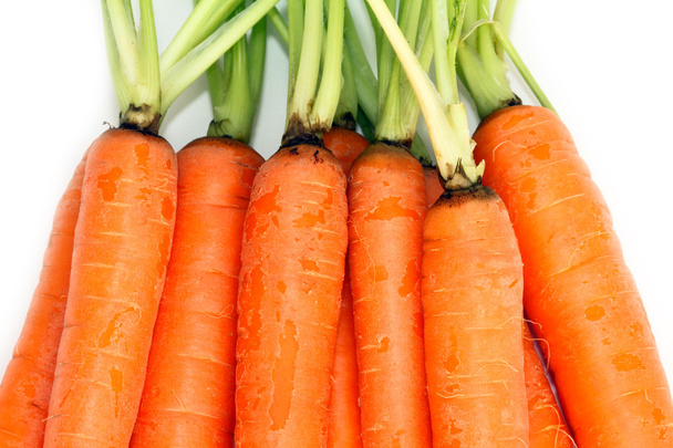 Carrots - Zdjęcie, obraz