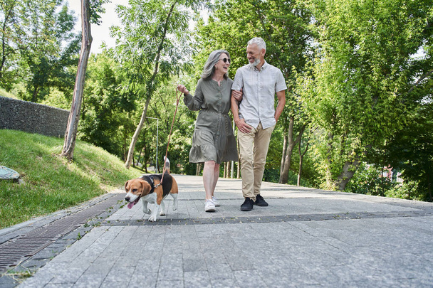 Couple of pensioner enjoying summer walking while going through the park - Фото, изображение