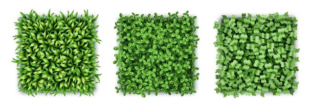 Realistická trávník zelená tráva textura, organické bezešvé květinové vzory. Náměstí s travnatým kobercem - Vektor, obrázek