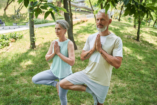 Mature couple making exercises at the nature at the open air - Foto, afbeelding