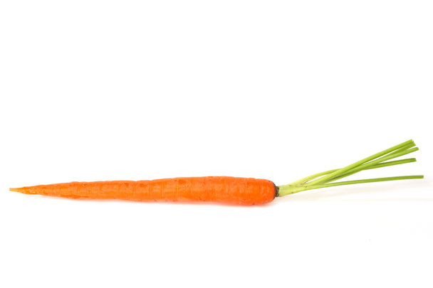 Single carrot - Foto, Imagem