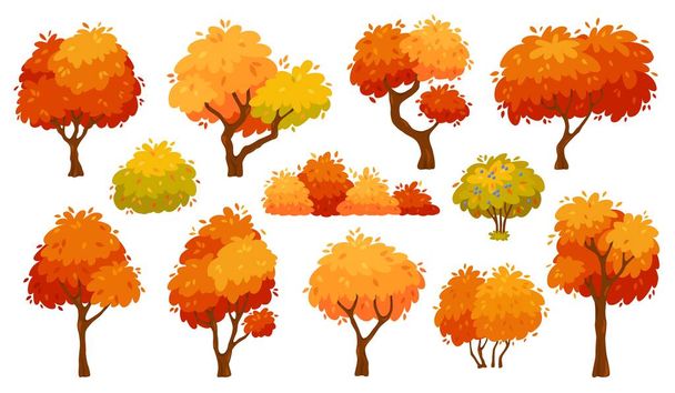 Cartoon herfstbomen en struiken, gele bosboom. Natuurplanten met rood blad en bladeren. Herfstseizoen bomen voor park of tuin vector set - Vector, afbeelding
