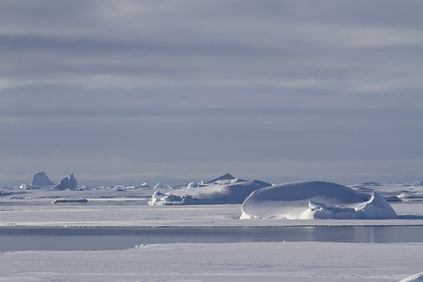 icebergs e gelo floes em águas de inverno do Peninsu Antártico
 - Foto, Imagem