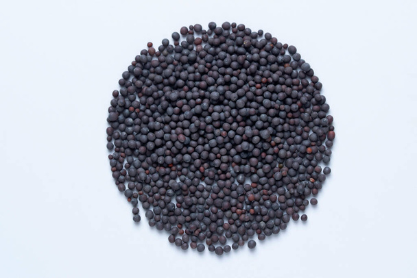 Semillas de mostaza negra, Brassica nigra Satar, Maharashtra, India - Foto, Imagen