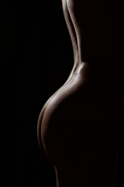 Sexy body - Photo, Image