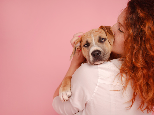vrouw met pup Amerikaanse Staffordshire Terrier poseren in studio - Foto, afbeelding