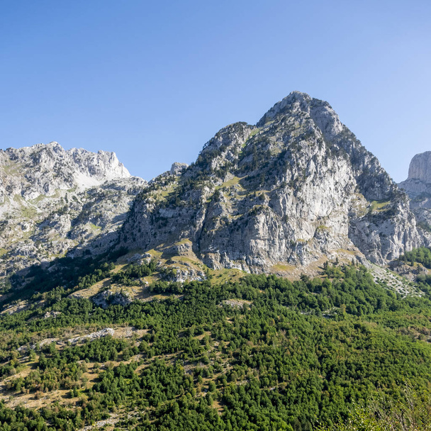 Αλβανικές ορεινές Άλπεις. Ορεινό τοπίο, γραφική θέα στο βουνό το καλοκαίρι. Πανόραμα αλβανικής φύσης - Φωτογραφία, εικόνα