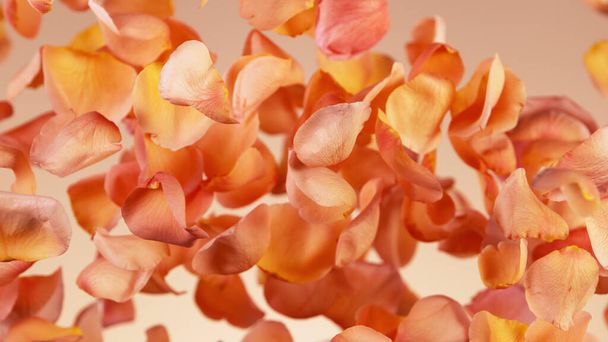 Flying rose petals isolated on orange background. Abstract flower background, realistic freeze motion of natural blooms parts. - Foto, afbeelding