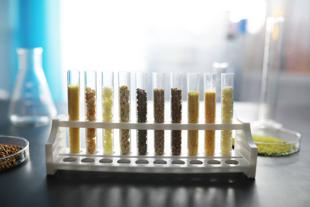 Test tubes with seeds of selection plants. Research Analyzing Agricultural Grains And seeds In The Laborator - Valokuva, kuva
