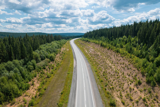 Aerial view of scenic road between green trees with pines on a sunny summer morning. Nature landscape in Siberia, Russia. A road passing through a coniferous forest, aerial shot from a drone. - Photo, image