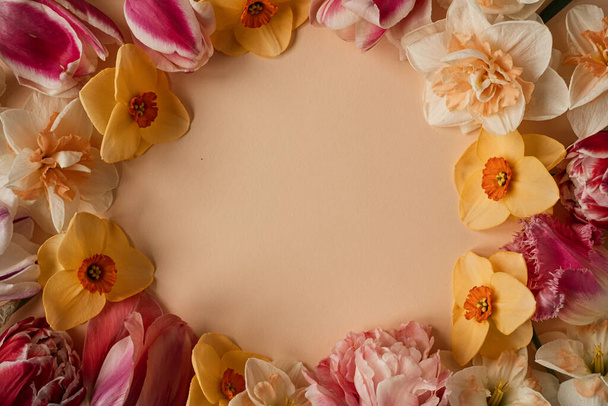 Abstract floral aesthetic background. Round floral frame wreath of colourful narcissus and tulip flowers on ginger background with blank copy space mockup. Beautiful flowers and petals template - Photo, Image