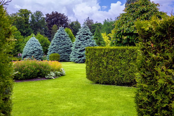 landscape desing of a park with a garden bed and trees with leaves and pine needles on a green lawn, evergreen and seasonal plants in the backyard. - Photo, image