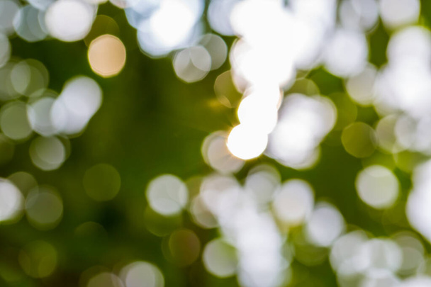 green background bokeh from nature use for background - Foto, Imagen