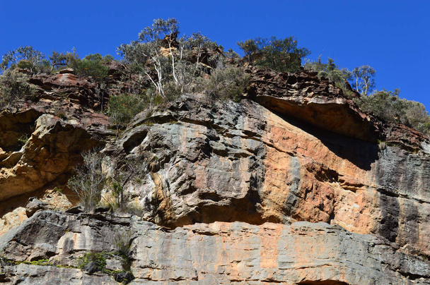 A view of the walls of the canyon along the Grand Canyon Walk at Blackheath in the Blue Mountains of Australia - Foto, immagini