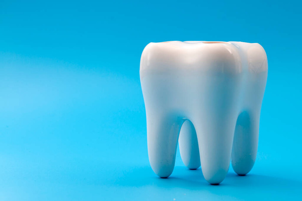 Dental hygiene, cosmetic dentistry and teeth cavity prevention concept with anatomical model of crown or corona of human tooth isolated on blue background with copy space - Photo, Image