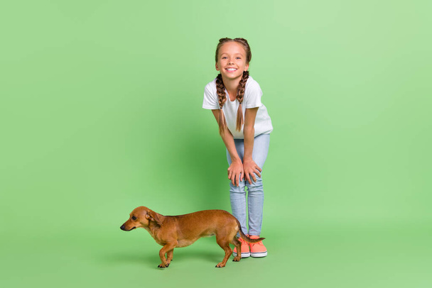 Full length body size view of attractive cheerful preteen girl spending time with her cute dog isolated over green color background - Фото, зображення