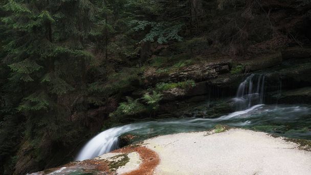 Septiembre en Karkonosze, helechos y árboles en la orilla de un río de montaña, cascada y agua espumosa que fluye sobre las rocas - Foto, Imagen