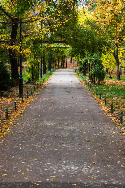 Empty alley in Cismigiu park in Bucharest, capital city of Romania - Photo, image
