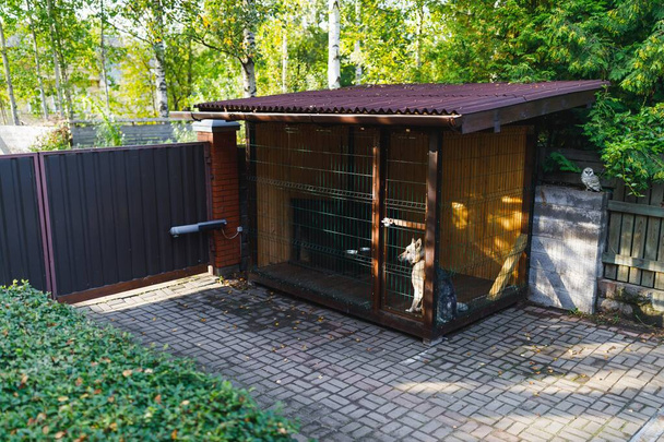 recinzione cane canile all'aperto sul cortile anteriore - Foto, immagini