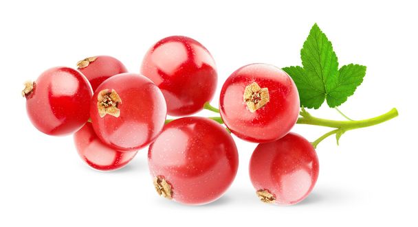 Red currant - Photo, Image