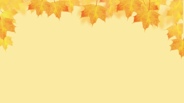 Jesienny upadek liści klonu na pomarańczowym tle - Materiał filmowy, wideo